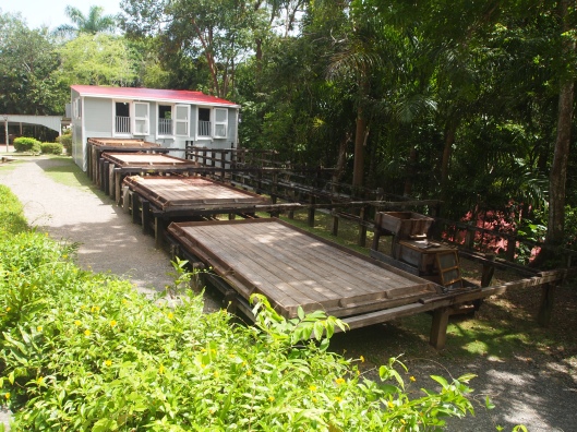 platforms where the coffee beans were dried