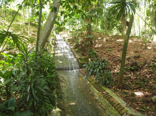 the stream at the entrance to the Hacienda.  Quiet before the guests arrive