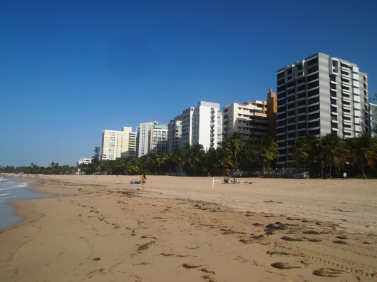 hotels & residences along the beach at Ocean Park
